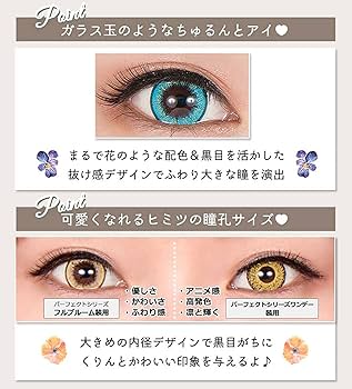 バカラ　ブルーム　ピオニー バカラ 2102548 ラッキーバタフライ ピオニー 幸運を運ぶ蝶